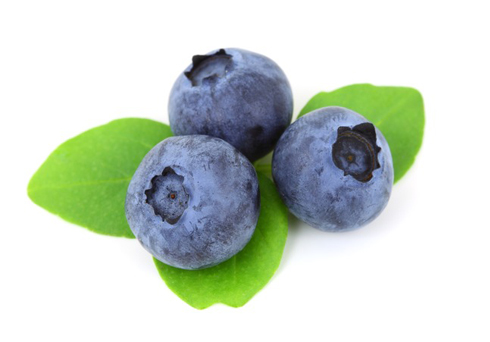 Blueberry